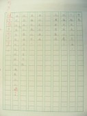 DSCN9217.JPG