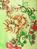 DSCN7869.JPG