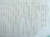 DSCN9393.JPG