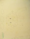 DSCN0501.JPG