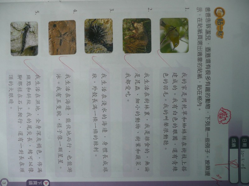 P1070667.JPG