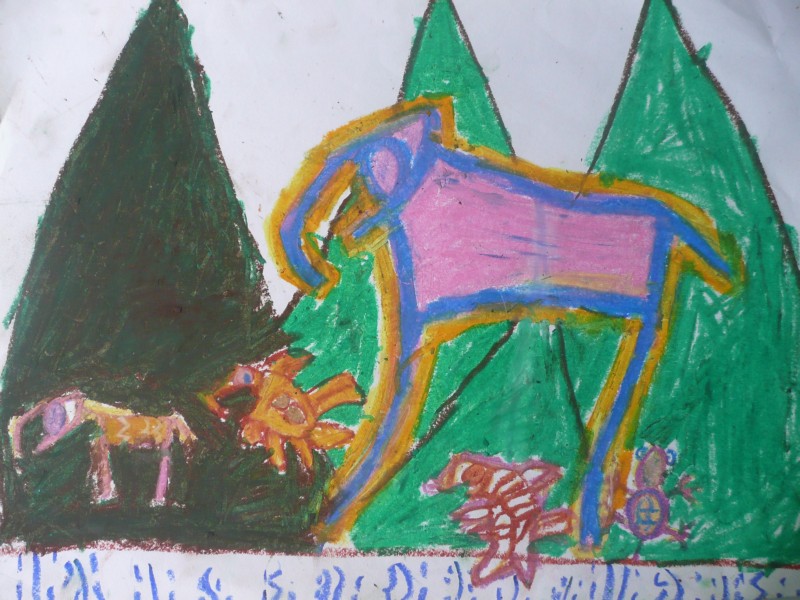 P1080831.JPG