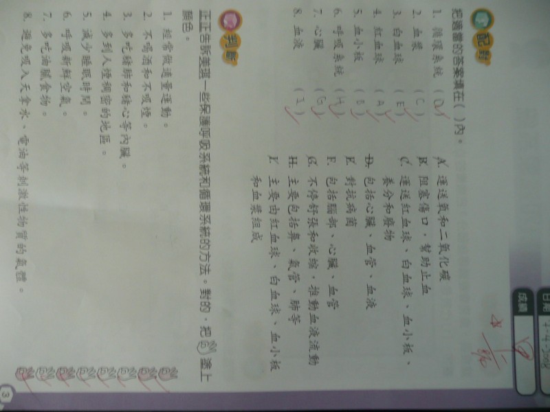 P1090211.JPG