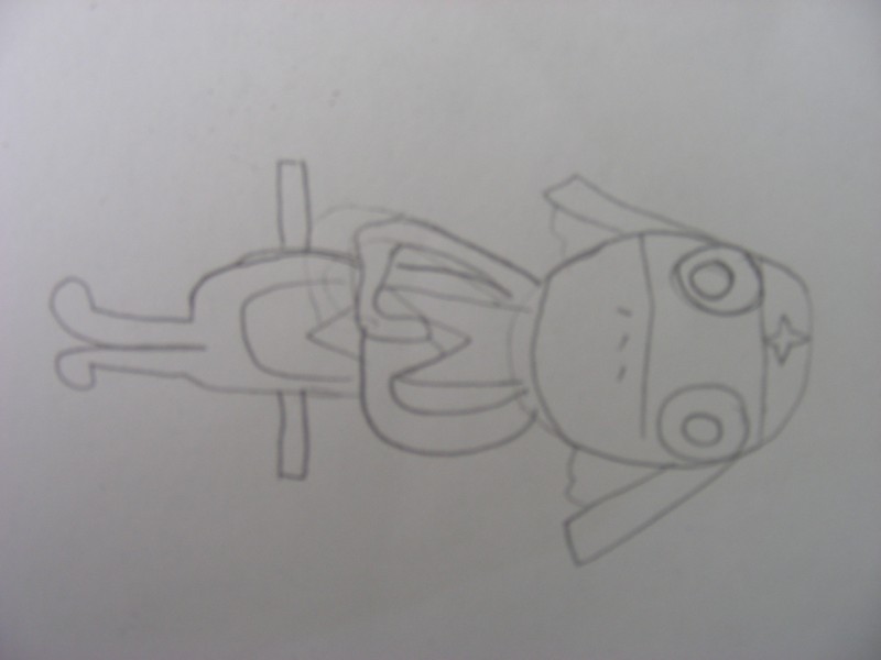 DSCN0438.JPG