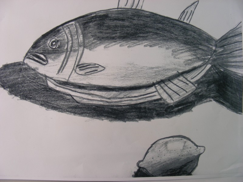 DSCN0516.JPG