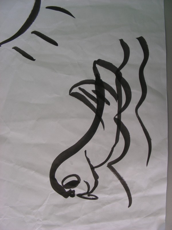 DSCN0104.JPG