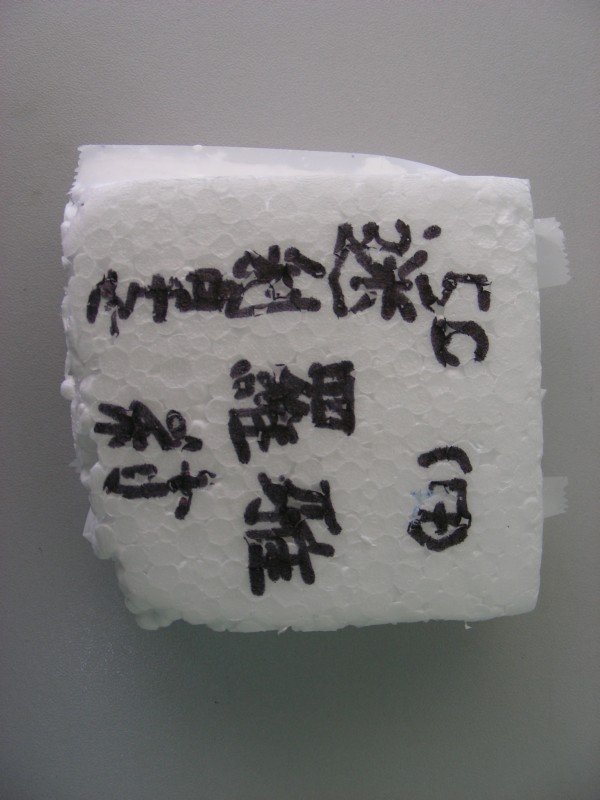 DSCN0157.JPG