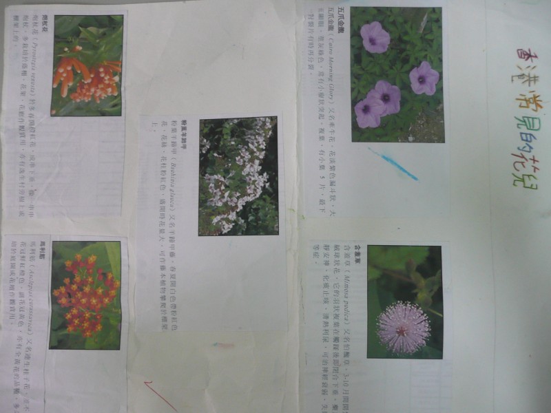 P1090727.JPG