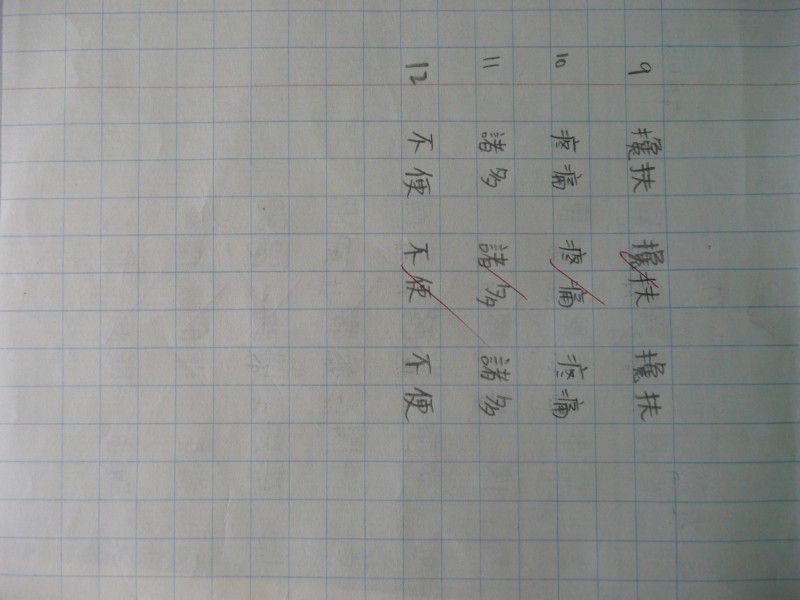 P1030875.JPG