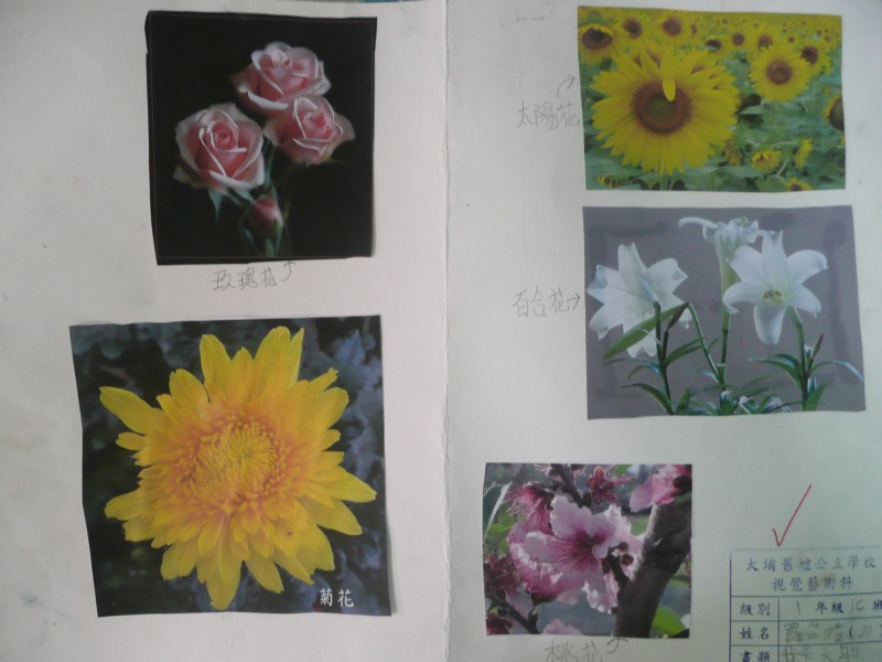 P1090690.JPG