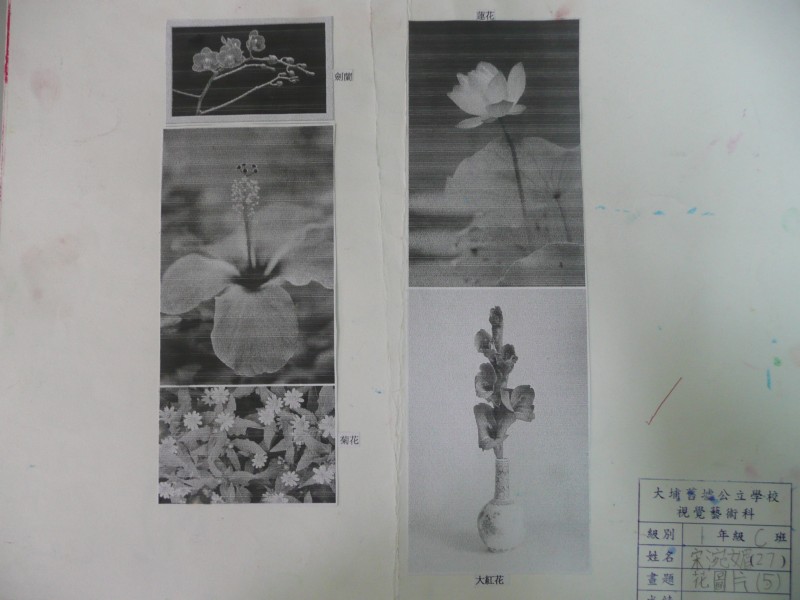 P1090736.JPG