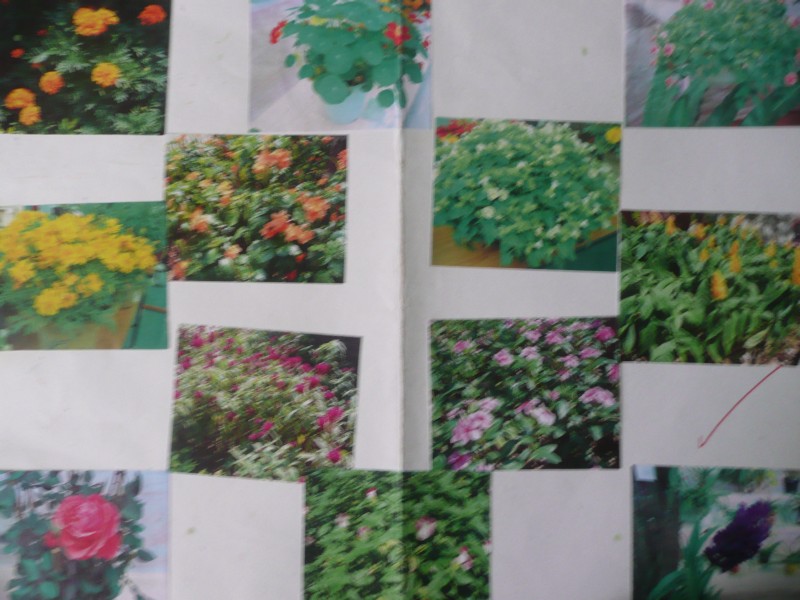 P1090315.JPG