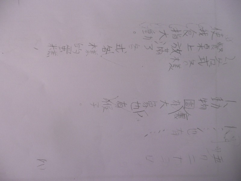 P1100104.JPG