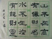 DSCN0718.JPG