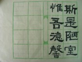 DSCN0719.JPG