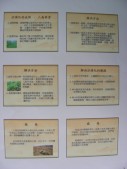DSCN0278.JPG