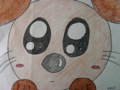 DSCN0333.JPG