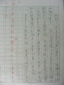 DSCN0450.JPG