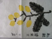 DSCN0475.JPG