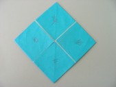 DSCN0537.JPG