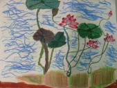 DSCN0129.JPG