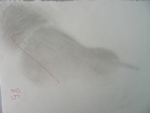 DSCN0115.JPG