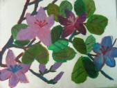 DSCN0150.JPG