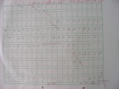DSCN9993.JPG